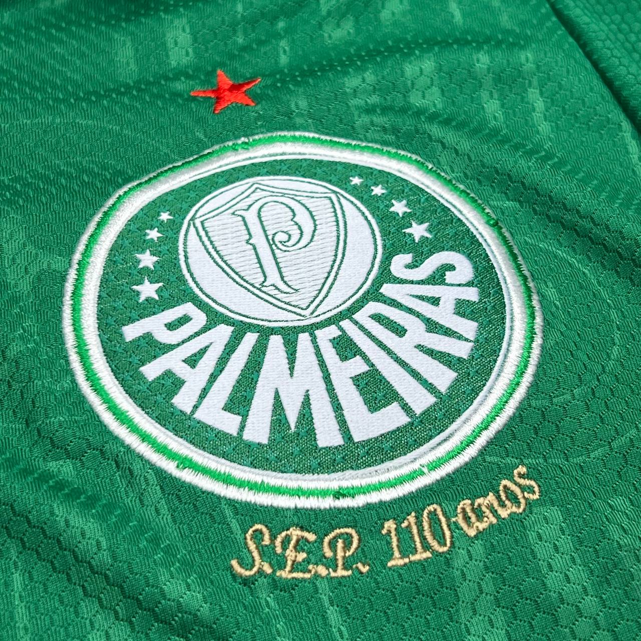 Camisa de Time (Qualidade Nacional Premium) - PALMEIRAS 