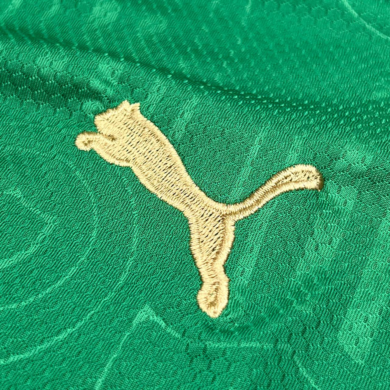 Camisa de Time (Qualidade Nacional Premium) - PALMEIRAS 