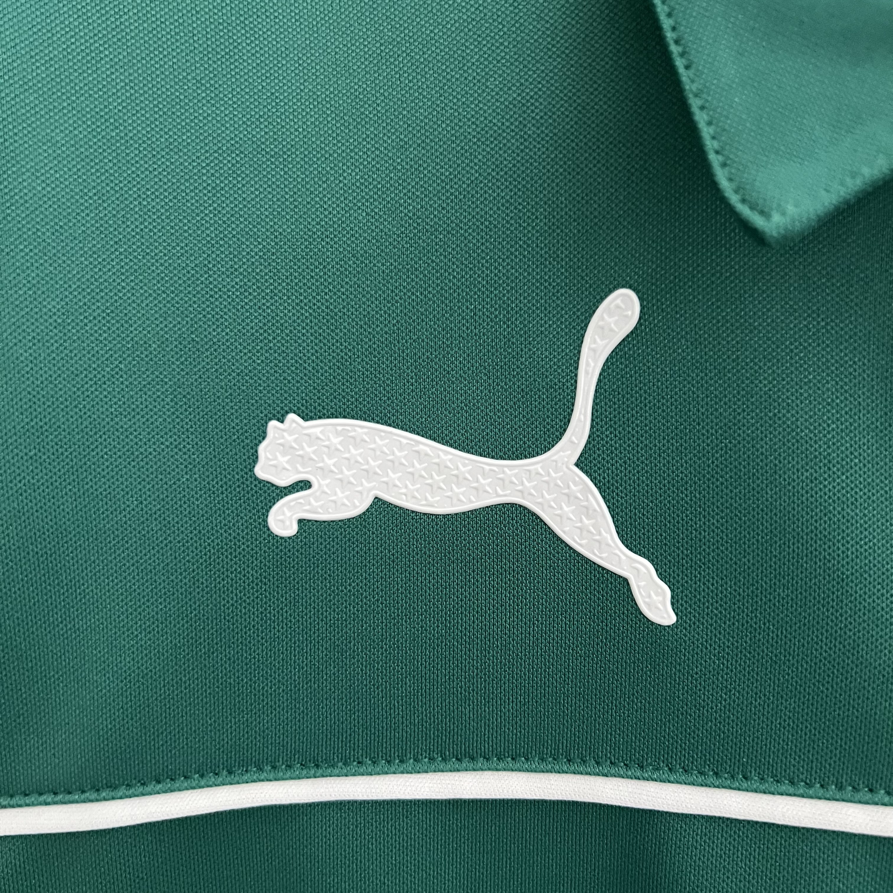 Camisa de time Tailandesa 1.1 TORCEDOR PALMEIRAS 23/24 SPECIAL EDITION 