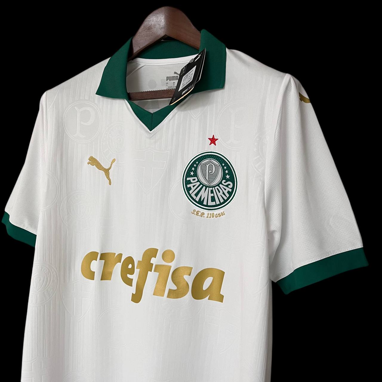 Camisa de time Tailandesa 1.1 TORCEDOR PALMEIRAS PRONTA ENTREGA) 
