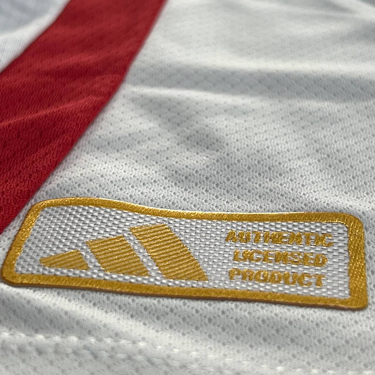 Camisa de Time (Qualidade Nacional Premium) - OLYMPIQUE LYONNAIS 