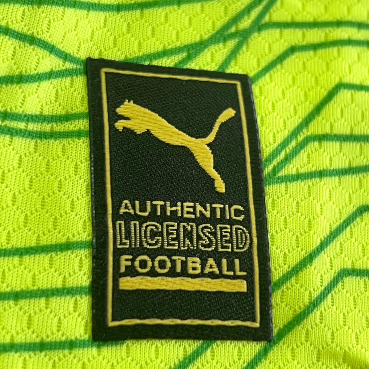 Camisa de Time (Qualidade Nacional Premium) - PALMEIRAS