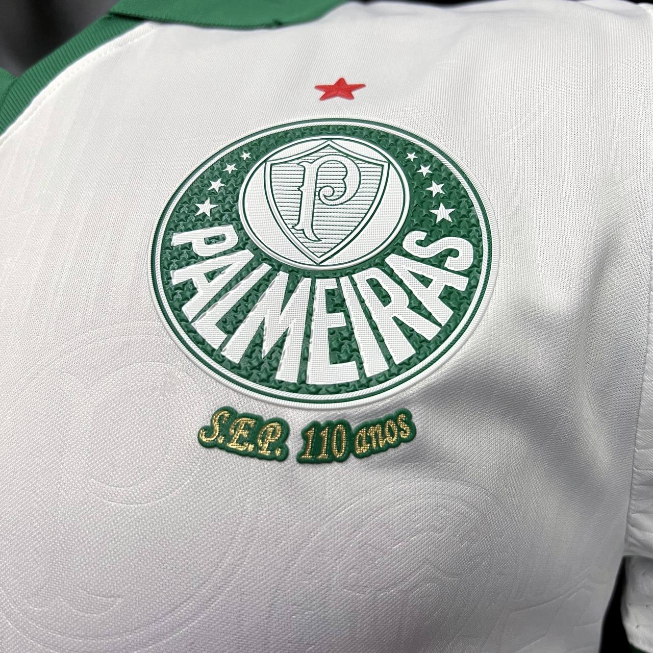 Camisa de time Tailandesa 1.1 JOGADOR PALMEIRAS PRONTA ENTREGA)
