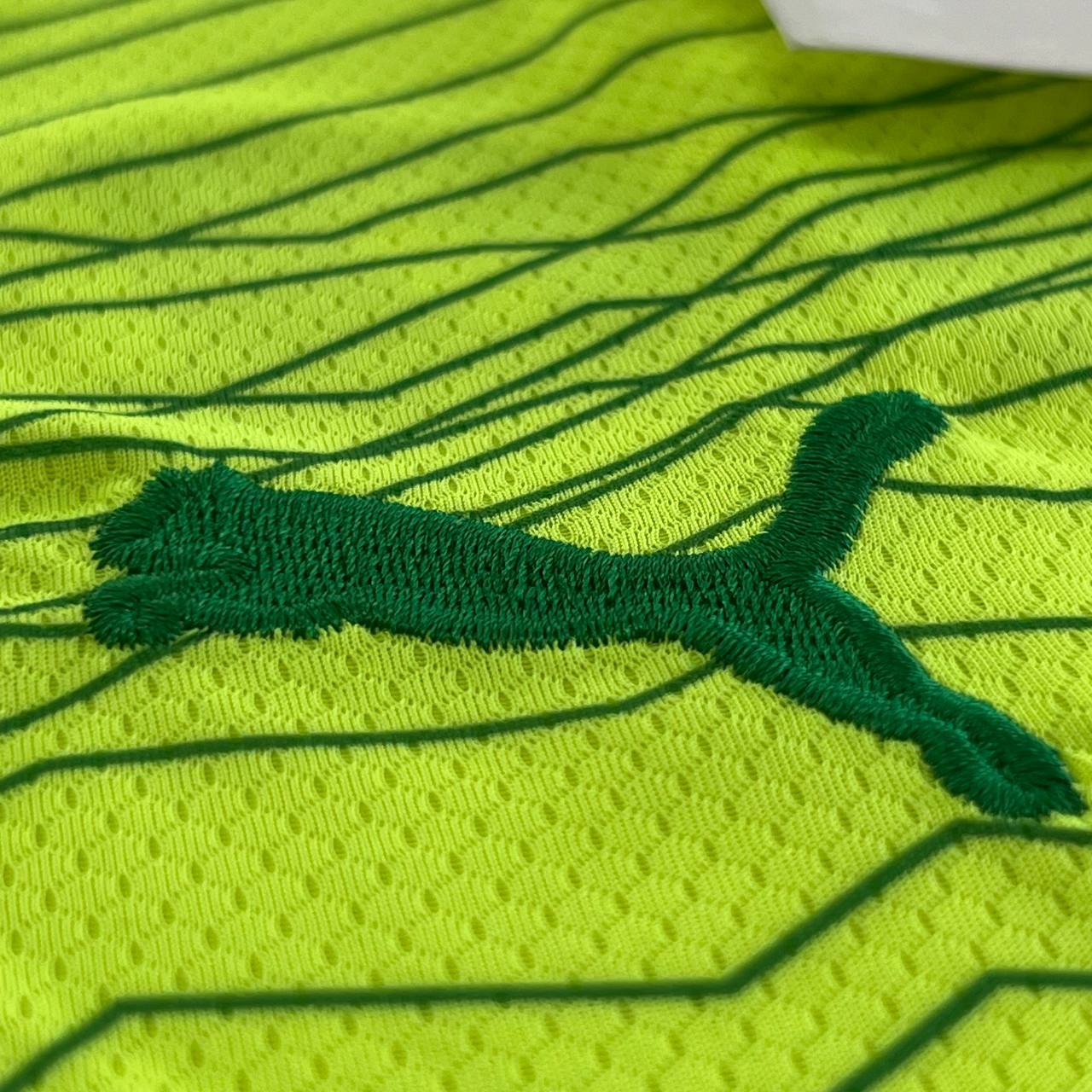 Camisa de Time (Qualidade Nacional Premium) - PALMEIRAS