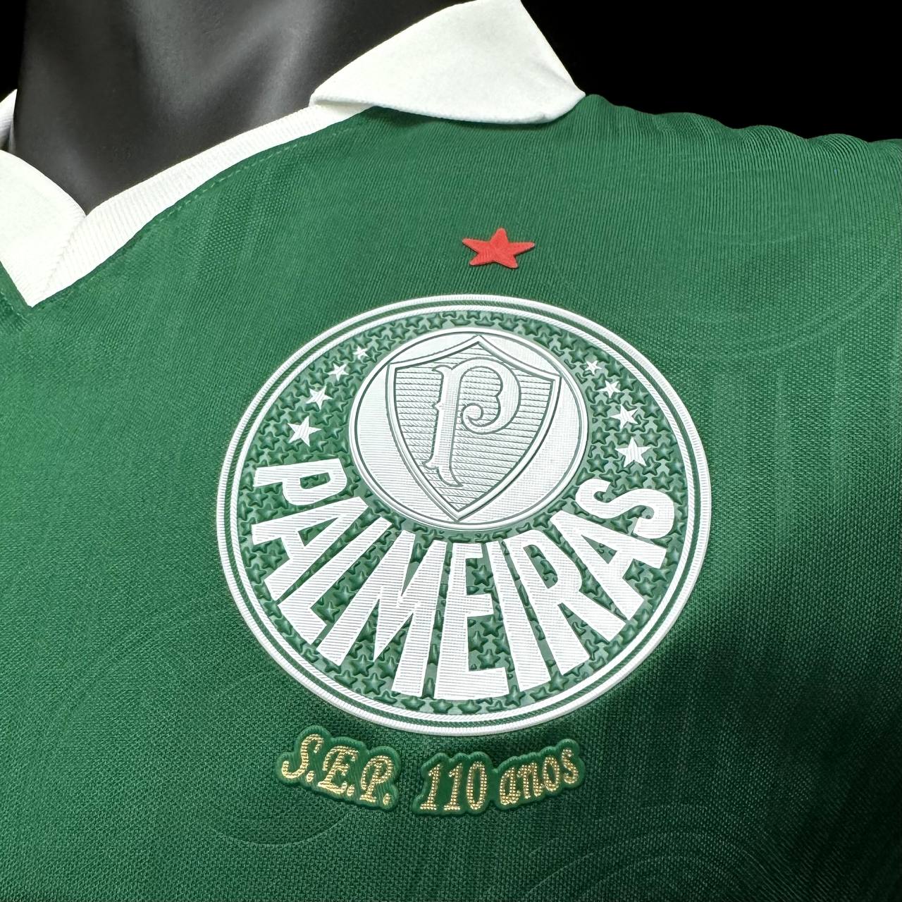 Camisa de time Tailandesa 1.1 JOGADOR PALMEIRAS PRONTA ENTREGA) 