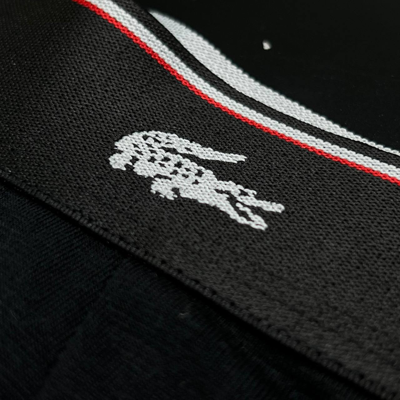 Cuecas Peruanas - LACOSTE